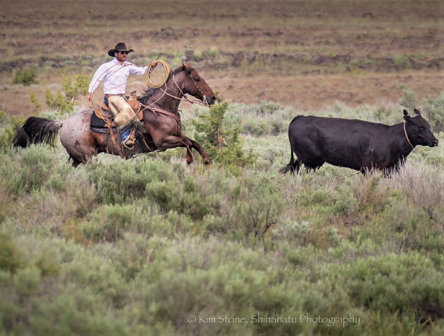 wade roping